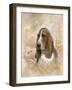 Forever Faithful-Ruane Manning-Framed Art Print