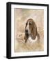 Forever Faithful-Ruane Manning-Framed Art Print