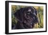 Forever Faithful-Jenny Newland-Framed Giclee Print