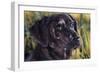 Forever Faithful-Jenny Newland-Framed Giclee Print