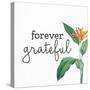 Forever Grateful-Kimberly Allen-Stretched Canvas