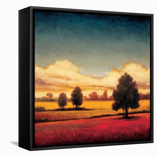 Forever I-Gregory Williams-Framed Stretched Canvas