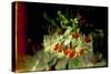 Forever Tulips-Valda Bailey-Stretched Canvas