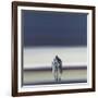 Forever Yours-Steve Johnston-Framed Giclee Print