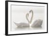 Forever-Monika Schwager-Framed Photographic Print