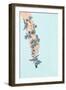 Forget Me Not, 2022 (Digital)-Roberta Murray-Framed Giclee Print