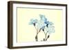 Forget-Me-Not Close Up-B-D-S-Framed Art Print