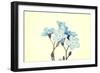 Forget-Me-Not Close Up-B-D-S-Framed Art Print