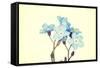 Forget-Me-Not Close Up-B-D-S-Framed Stretched Canvas