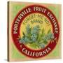 Forget Me Not Orange Label - Porterville, CA-Lantern Press-Stretched Canvas