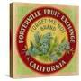 Forget Me Not Orange Label - Porterville, CA-Lantern Press-Stretched Canvas
