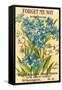 Forget Me Not Seed Packet-null-Framed Stretched Canvas