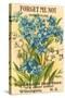 Forget Me Not Seed Packet-null-Stretched Canvas