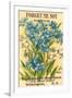 Forget Me Not Seed Packet-null-Framed Art Print