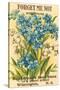 Forget Me Not Seed Packet-null-Stretched Canvas