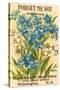 Forget Me Not Seed Packet-null-Stretched Canvas