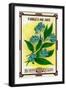 Forget Me Not Seed Packet-Lantern Press-Framed Art Print