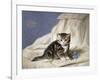 Forget-Me-Not-Horatio Henri Couldery-Framed Giclee Print