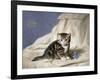 Forget-Me-Not-Horatio Henri Couldery-Framed Giclee Print