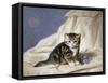 Forget-Me-Not-Horatio Henri Couldery-Framed Stretched Canvas