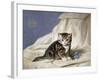 Forget-Me-Not-Horatio Henri Couldery-Framed Giclee Print