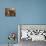 Forget-Me-Not-Wilson Hepple-Stretched Canvas displayed on a wall