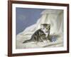 Forget-Me-Not-Horatio Henry Couldery-Framed Giclee Print