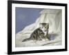 Forget-Me-Not-Horatio Henry Couldery-Framed Giclee Print