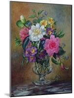 Forget-Me-Nots and Primulas in Glass Vase-Albert Williams-Mounted Giclee Print