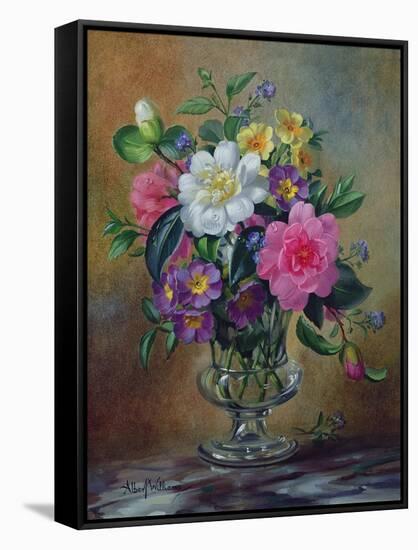 Forget-Me-Nots and Primulas in Glass Vase-Albert Williams-Framed Stretched Canvas