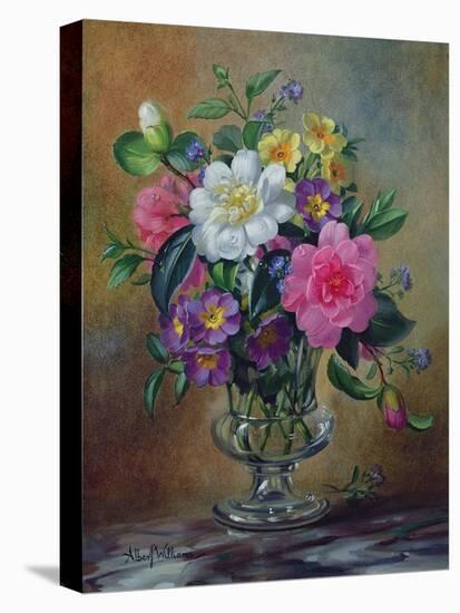 Forget-Me-Nots and Primulas in Glass Vase-Albert Williams-Stretched Canvas