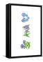 Forget Me Nots-Wendy Edelson-Framed Stretched Canvas