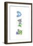 Forget Me Nots-Wendy Edelson-Framed Giclee Print