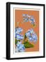 Forget-Me-Nots-Lantern Press-Framed Art Print