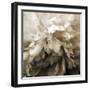 Forget-Katherine Sanderson-Framed Premium Photographic Print