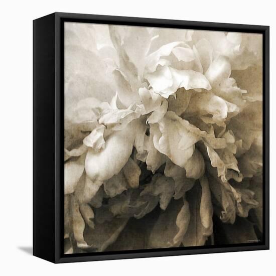 Forget-Katherine Sanderson-Framed Stretched Canvas