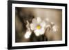 Forgive You-Philippe Sainte-Laudy-Framed Photographic Print