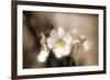 Forgive You-Philippe Sainte-Laudy-Framed Photographic Print