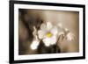 Forgive You-Philippe Sainte-Laudy-Framed Photographic Print