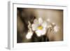 Forgive You-Philippe Sainte-Laudy-Framed Photographic Print