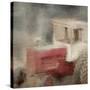 Forgotten 2-Kimberly Allen-Stretched Canvas