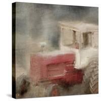 Forgotten 2-Kimberly Allen-Stretched Canvas