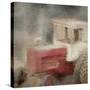 Forgotten 2-Kimberly Allen-Stretched Canvas