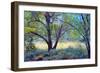 Forgotten Day Dreams-John Rivera-Framed Photographic Print