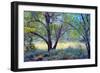 Forgotten Day Dreams-John Rivera-Framed Photographic Print