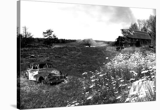 Forgotten Field-Justin Lloyd-Stretched Canvas