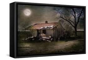 Forgotten in Moonlight-Barbara Simmons-Framed Stretched Canvas