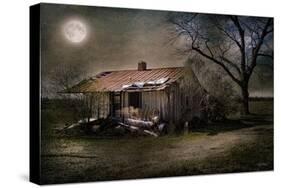 Forgotten in Moonlight-Barbara Simmons-Stretched Canvas