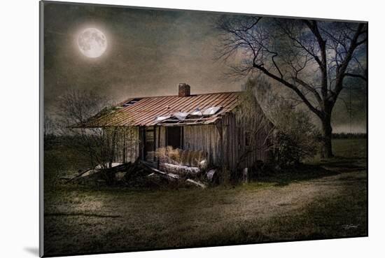Forgotten in Moonlight-Barbara Simmons-Mounted Giclee Print