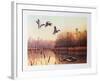 Forgotten Lake Mallards-Durant Ball-Framed Collectable Print